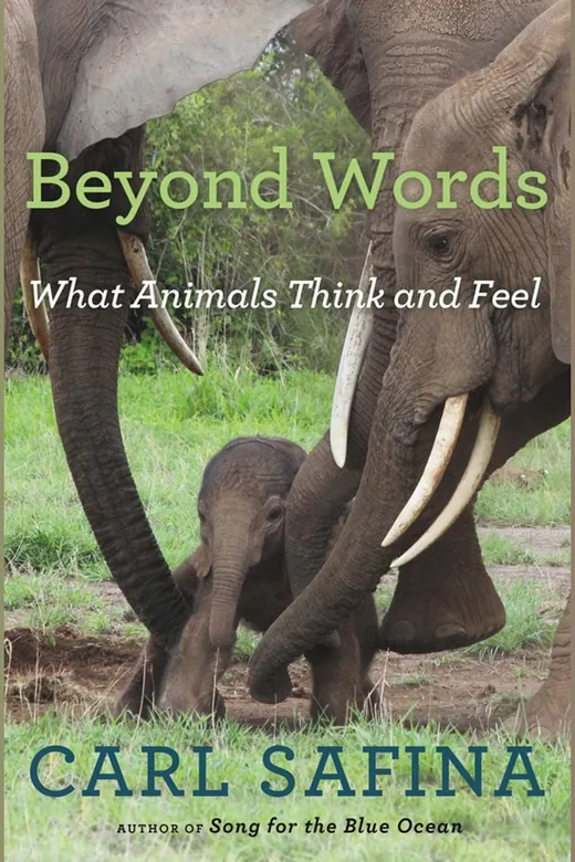 The cover of Beyond Words: What Animals Think and Feel