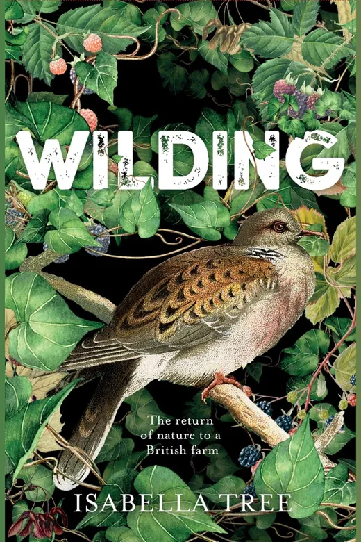 The cover of Wilding