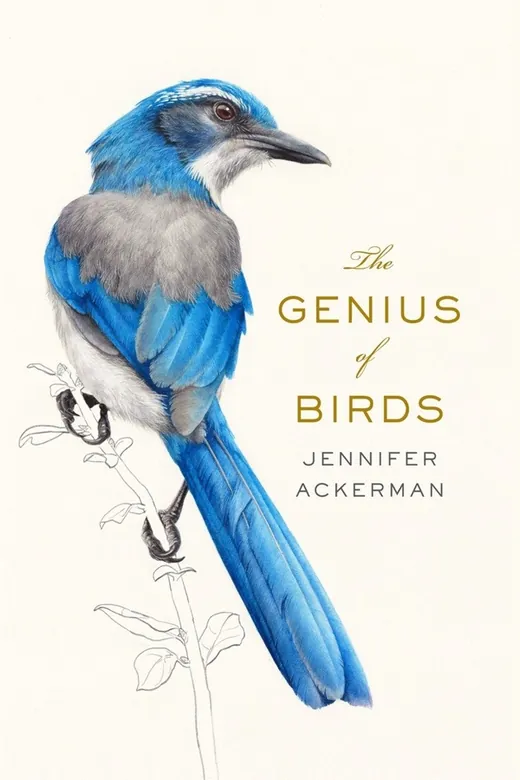 The cover of The Genius of Birds