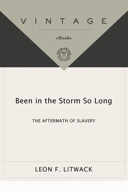 The cover of Been in the Storm So Long: The Aftermath of Slavery