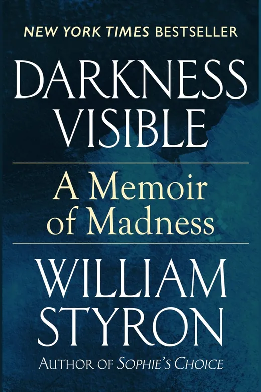 The cover of Darkness Visible