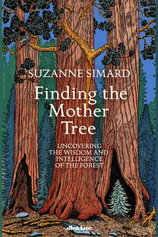 The cover of Finding the Mother Tree