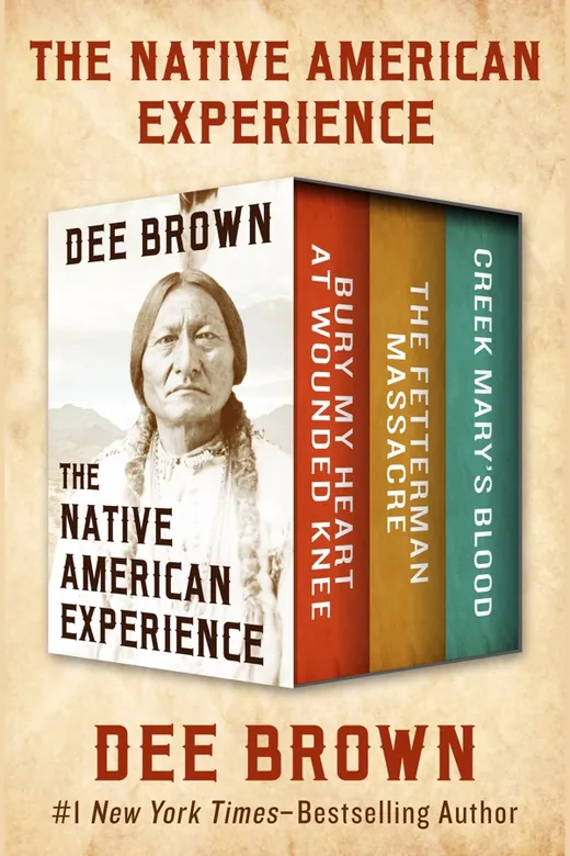The cover of The Native American Experience