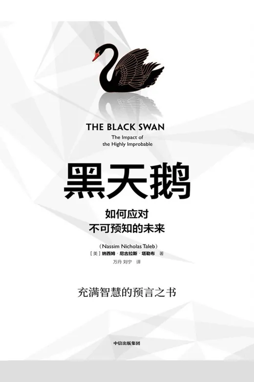 《黑天鹅》的封面